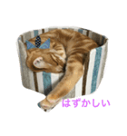 快音（個別スタンプ：4）