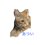 快音（個別スタンプ：8）