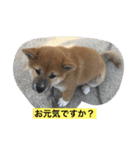 OKAMOTO TARO  TANAKA sp（個別スタンプ：2）