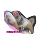 OKAMOTO TARO  TANAKA sp（個別スタンプ：9）