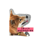 OKAMOTO TARO  TANAKA sp（個別スタンプ：12）