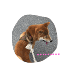 OKAMOTO TARO  TANAKA sp（個別スタンプ：16）