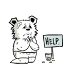 Zucky bear（個別スタンプ：13）