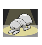 Zucky bear（個別スタンプ：16）