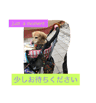 ミニチュアダックスフンドなな（個別スタンプ：20）