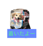 ミニチュアダックスフンドなな（個別スタンプ：26）