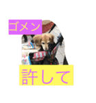ミニチュアダックスフンドなな（個別スタンプ：34）