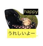 ミニチュアダックスフンドなな（個別スタンプ：39）