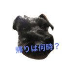 老眼ママより連絡（個別スタンプ：3）