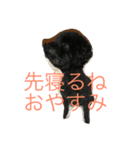 老眼ママより連絡（個別スタンプ：8）