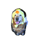 犬とアヒル（個別スタンプ：3）