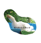 犬とアヒル（個別スタンプ：4）