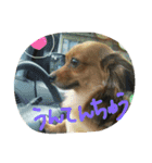 まろんがいっはい（個別スタンプ：6）