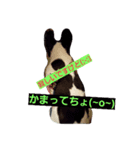 tonokun2（個別スタンプ：5）