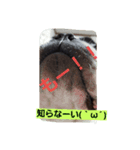 tonokun2（個別スタンプ：8）