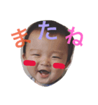 てんらいふ（個別スタンプ：5）