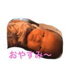 はなべび（個別スタンプ：2）