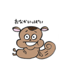 リスのはっちくん（個別スタンプ：13）