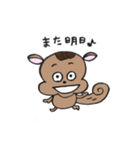 リスのはっちくん（個別スタンプ：36）