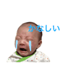 あおべ専用スタンプ（個別スタンプ：23）