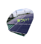 シンプル0000000（個別スタンプ：11）