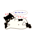 ハチワレ君（個別スタンプ：3）