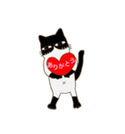 ハチワレ君（個別スタンプ：4）
