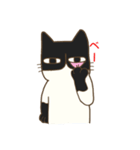 ハチワレ君（個別スタンプ：6）