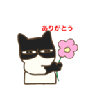 ハチワレ君（個別スタンプ：8）