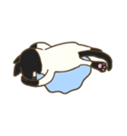 ハチワレ君（個別スタンプ：12）