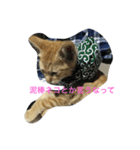 りざ（個別スタンプ：8）