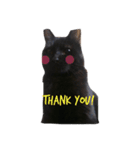 Black cat Nyankichi 2（個別スタンプ：13）