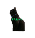 Black cat Nyankichi 2（個別スタンプ：14）