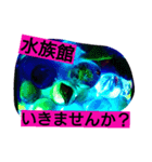 恋も実るかもです。（個別スタンプ：5）