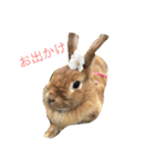 使えるキャロちゃん（個別スタンプ：4）