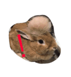 使えるキャロちゃん（個別スタンプ：8）