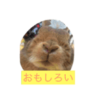 使えるキャロちゃん（個別スタンプ：9）