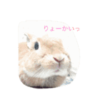 使えるキャロちゃん（個別スタンプ：15）