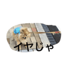 ちぱちゃんのまいにち（個別スタンプ：2）