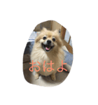 ちぱちゃんのまいにち（個別スタンプ：4）