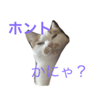 ツンデレゆーりちゃん（個別スタンプ：2）