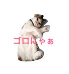 ツンデレゆーりちゃん（個別スタンプ：3）