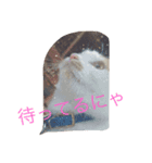 ツンデレゆーりちゃん（個別スタンプ：4）