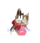 ツンデレゆーりちゃん（個別スタンプ：5）