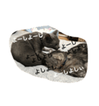 パールちゃんとジャムくん（個別スタンプ：4）