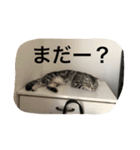 パールちゃんとジャムくん（個別スタンプ：8）