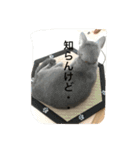 パールちゃんとジャムくん（個別スタンプ：20）