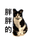 betty kikicat（個別スタンプ：14）