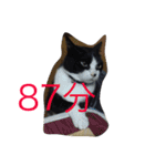 betty kikicat（個別スタンプ：16）