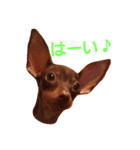 甘太の日常（個別スタンプ：7）